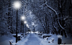 snowy_park_at_night-wallpaper-1280x800