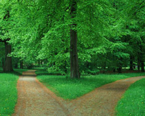 bestlifeministries.com